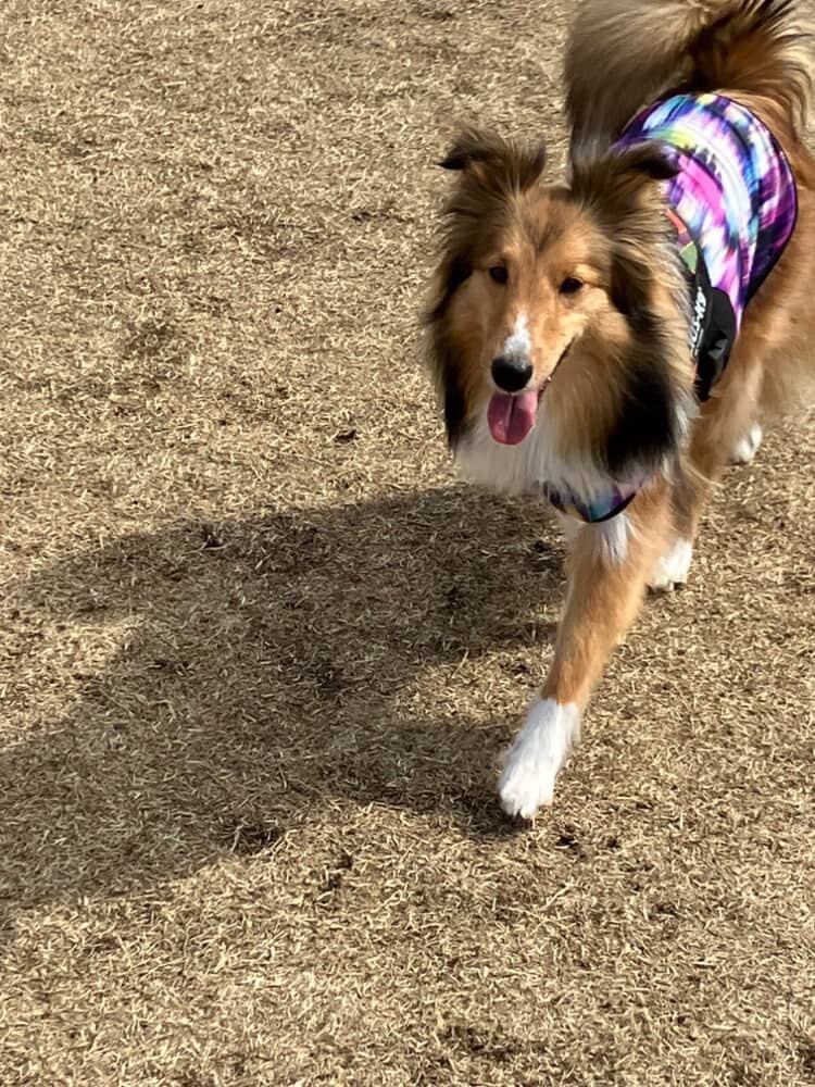 1件目のレビュー画像 | 0