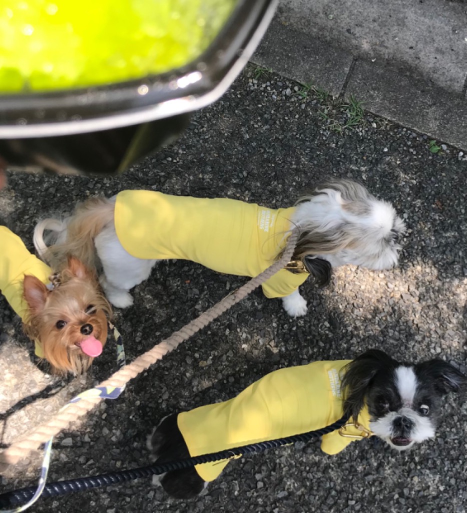 1件目のレビュー画像 | 0