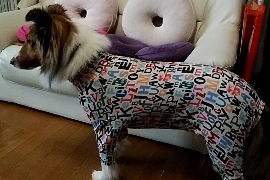 レビュー画像