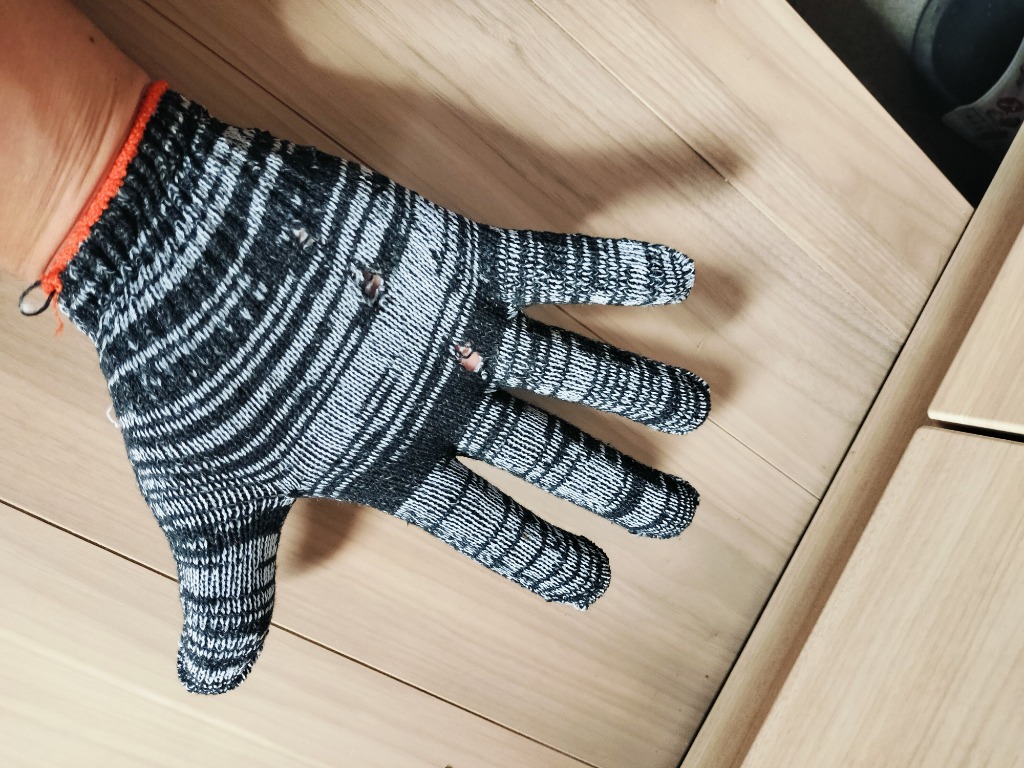 レビュー画像