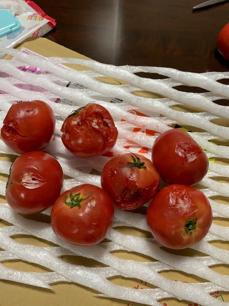 ギフト トマト 大玉トマト4kg箱(サンシャイントマト) お取り寄せ野菜 ワンダーファーム :oodama-tomato:ワンダーファーム - 通販  - Yahoo!ショッピング