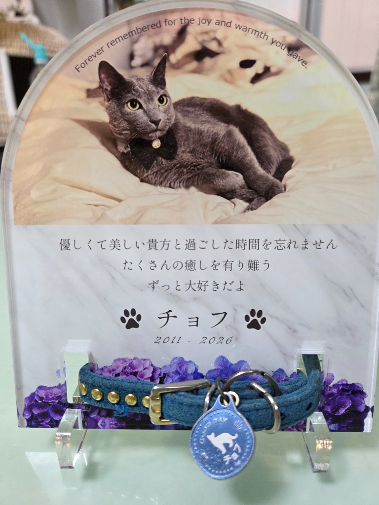1件目のレビュー画像 | 0