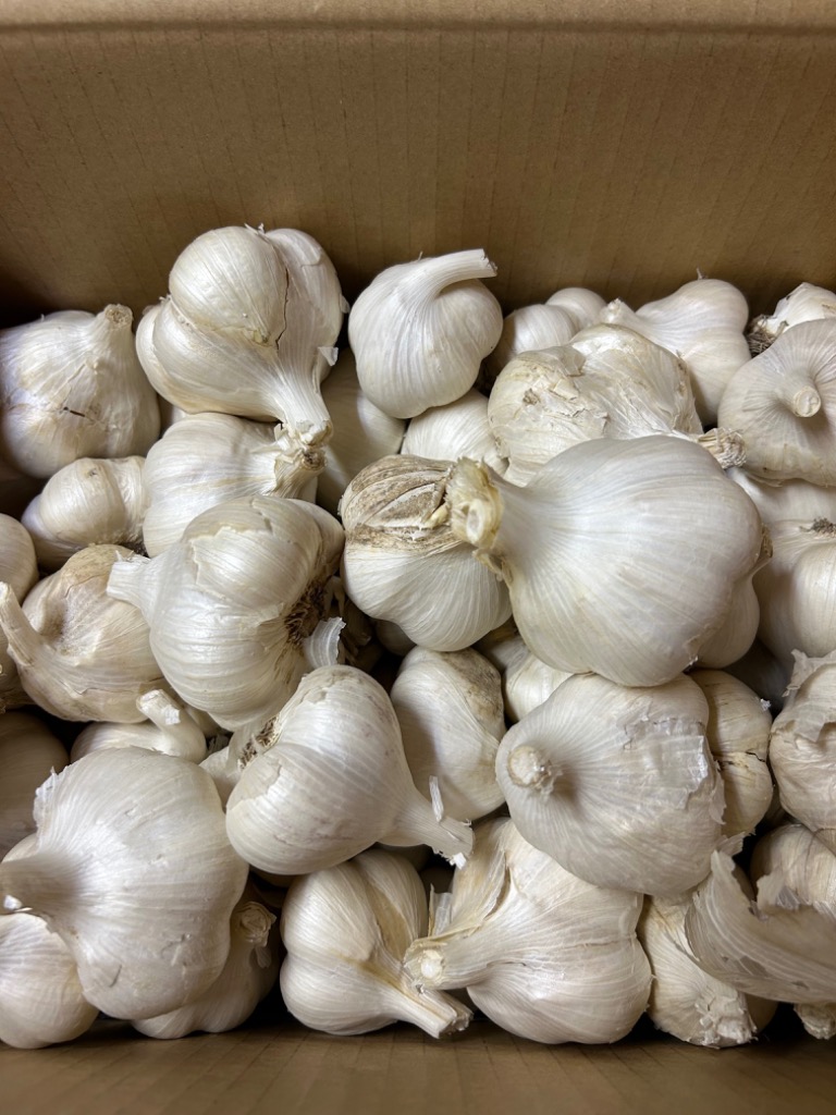 全体のレビュー画像 | 5-0