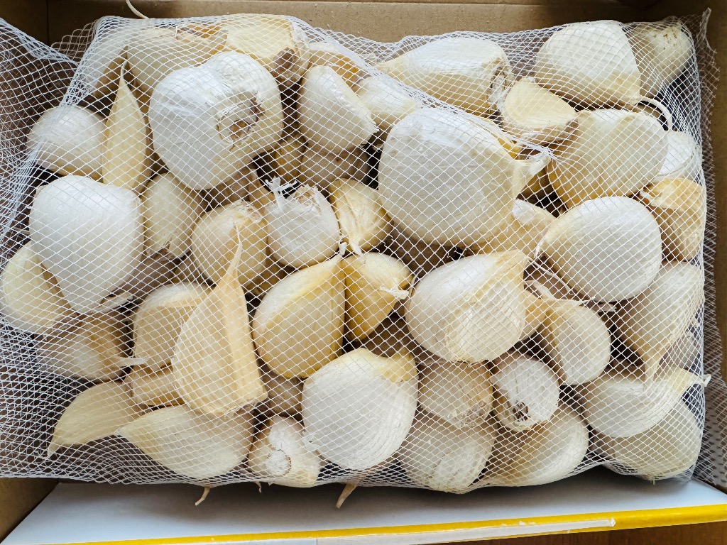 全体のレビュー画像 | 3-0