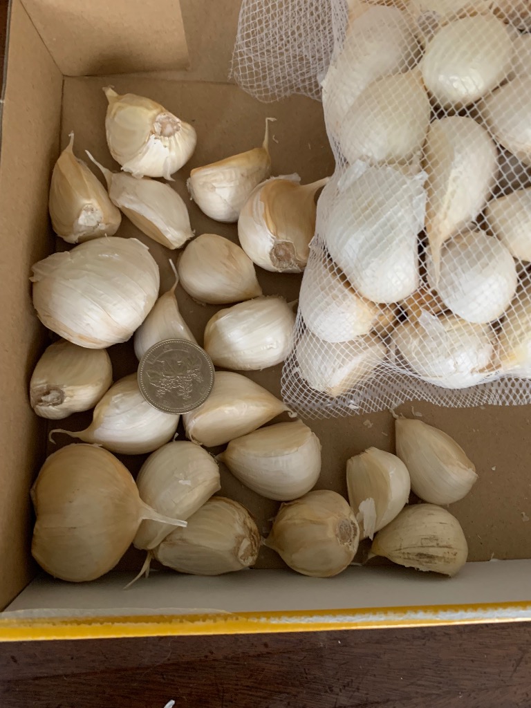 全体のレビュー画像 | 7-1