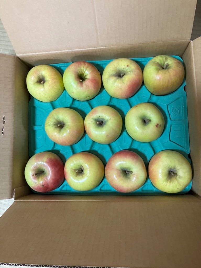 全体のレビュー画像 | 4-0