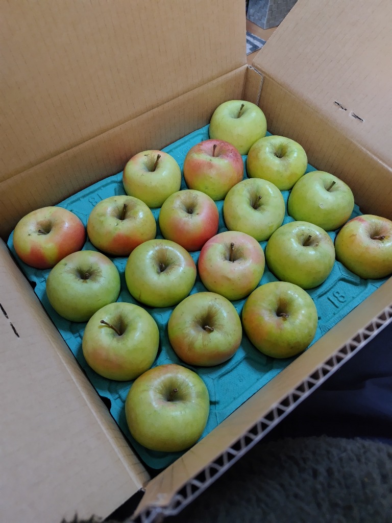 全体のレビュー画像 | 0-0