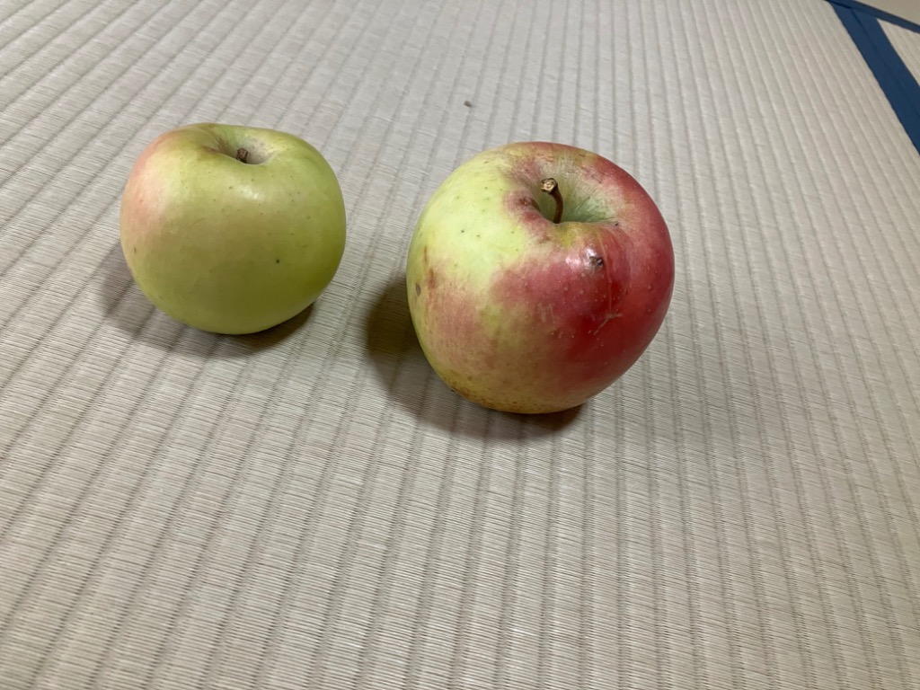 全体のレビュー画像 | 4-1