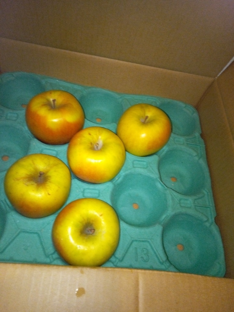 全体のレビュー画像 | 1-0