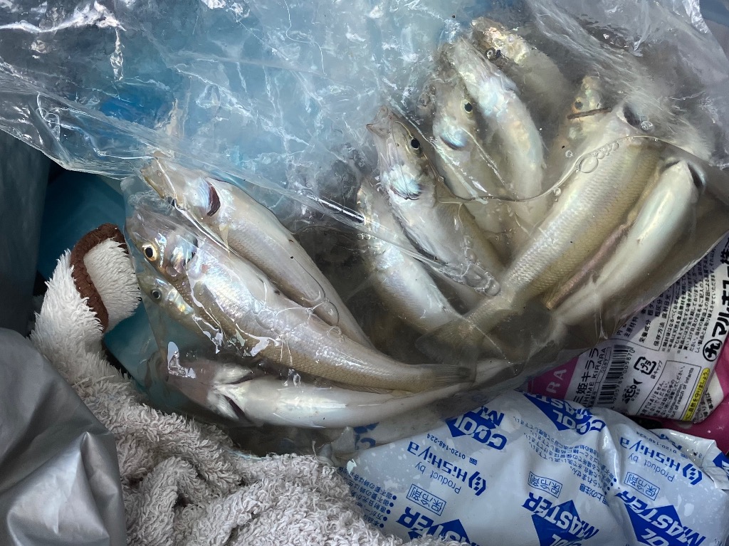 オルルド釣具 釣り竿 振出竿 魚型つり竿 コンパクト 竿 1.6m 4カラー