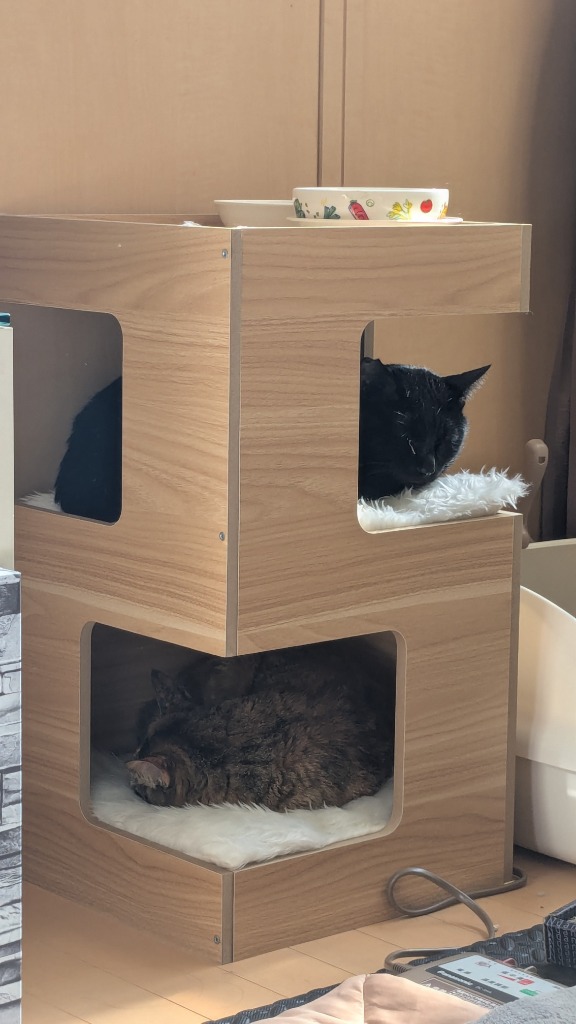 キャットハウス ペットハウス 木製 キャットタワー 爪とぎ 猫 猫 キャットハウス ペットハウス 木製 キャットタワー 爪とぎ 猫 猫