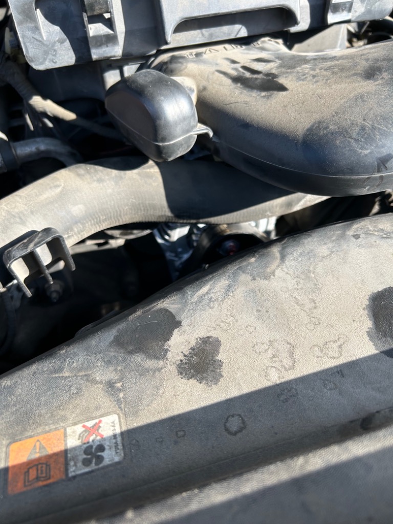 2件目のレビュー画像 | 0