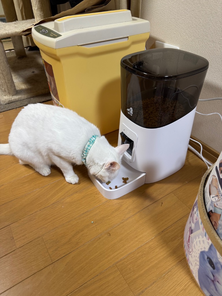 全体のレビュー画像 | 0-0