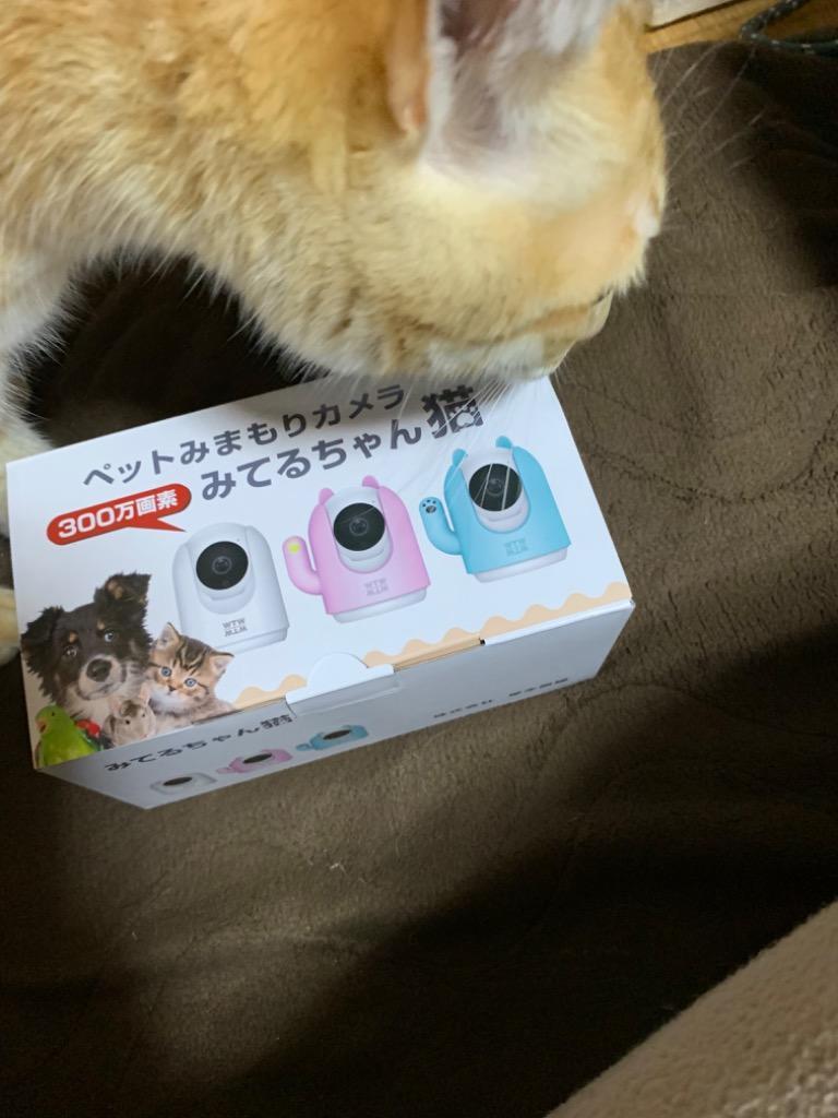 防犯カメラ ワイヤレス 家庭用 自動 追跡 追尾 ペットカメラ 犬 猫 無料クラウド録画 Alexa アレクサ 屋内 ベビー 見守り スマホ Wtw Ipw108 Wtw 塚本無線 通販 Yahoo ショッピング