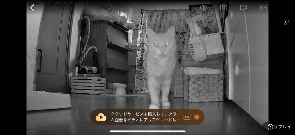 全体のレビュー画像 | 10-0
