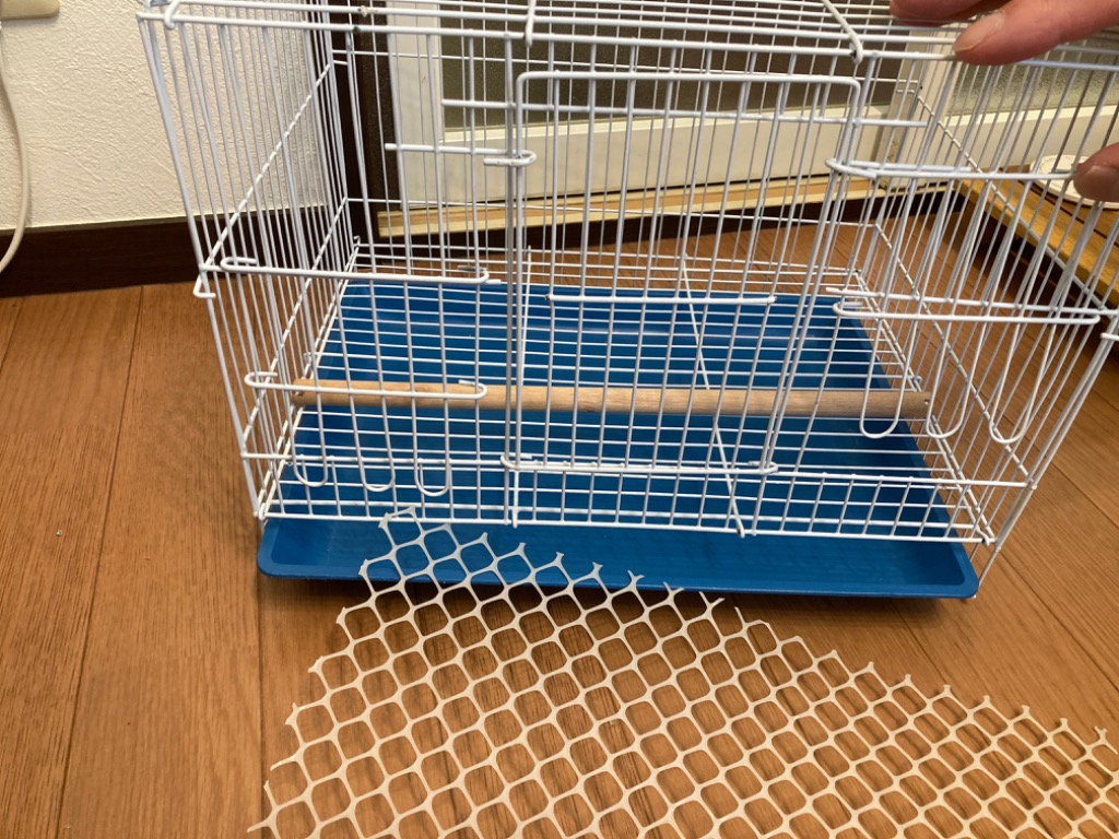 レビュー画像