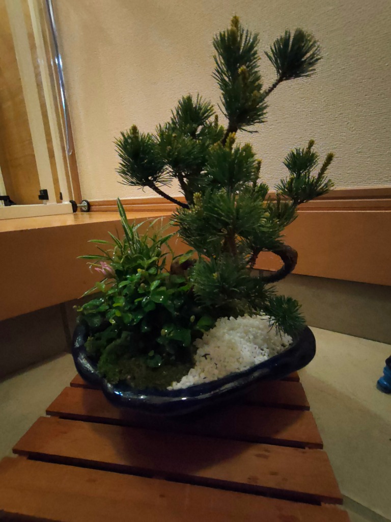 1件目のレビュー画像 | 0