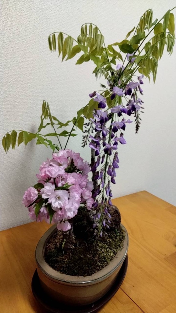 盆栽の鉢☆陶器の花の鉢植え 厚 紫砂の鉢 多肉古紅