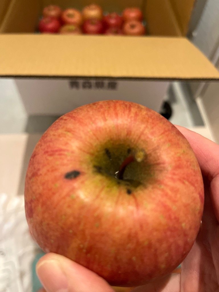 レビュー画像