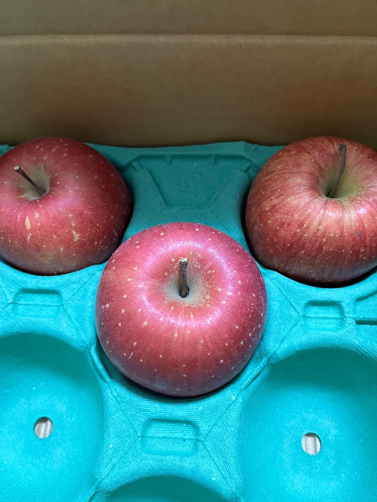 1件目のレビュー画像 | 0