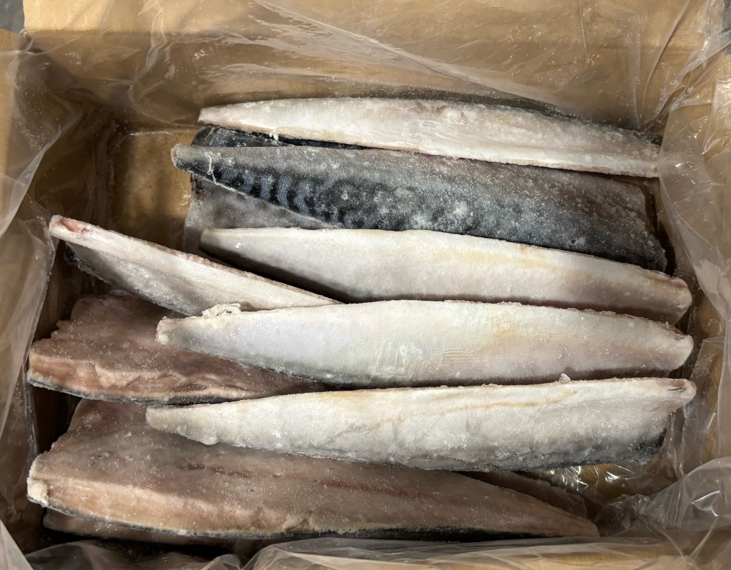 ふるさと納税 銚子市 【訳あり】 骨取り 無塩さば 2kg 千葉県