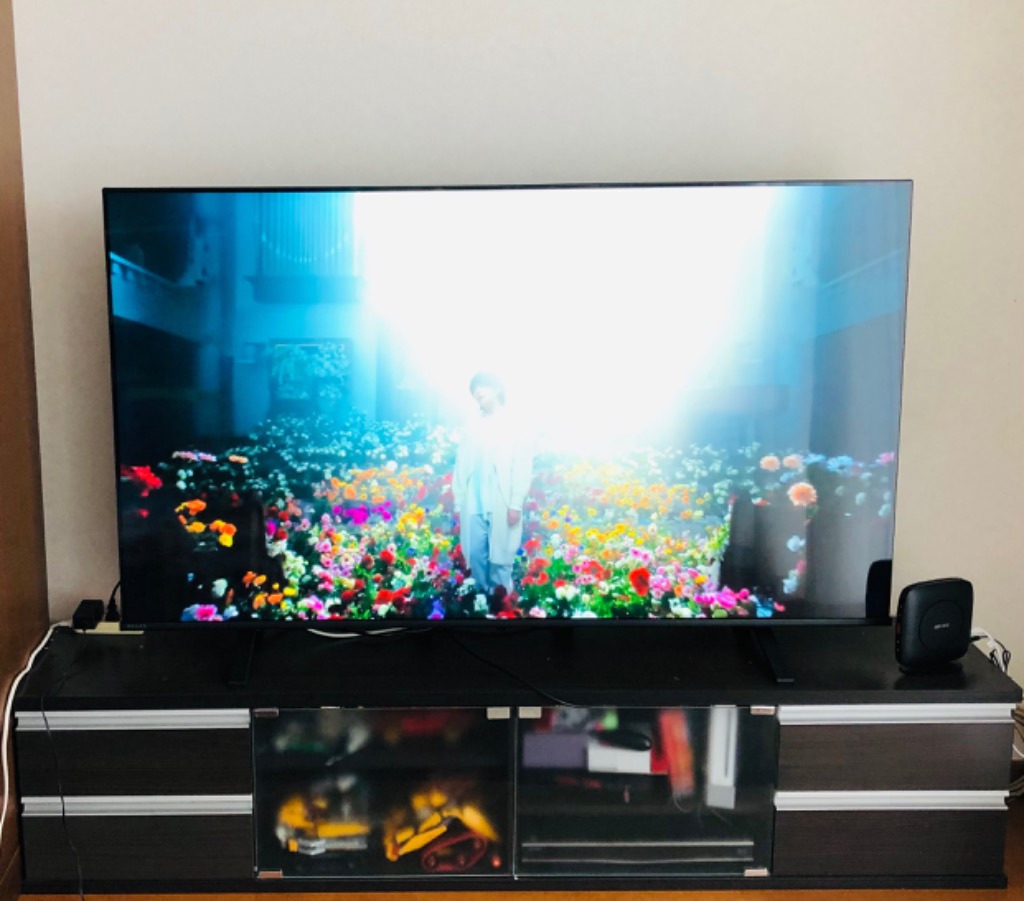 TOSHIBA TVS REGZA 4K液晶テレビ REGZA ( レグザ ) E350M