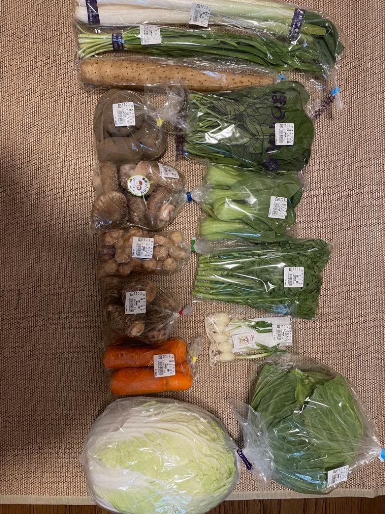 ふるさと納税 棚倉町 旬の野菜詰め合わせセット(石安米肥店
