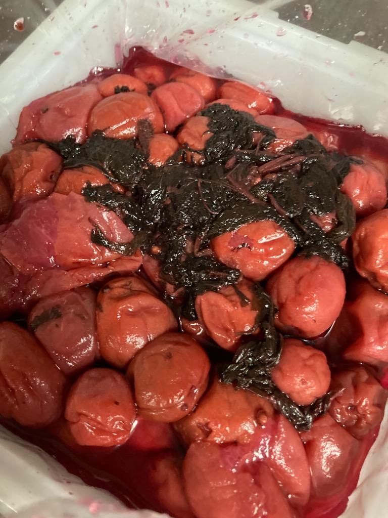 ふるさと納税 丸森町 【さとふる限定】〔おふくろさんの味〕手づくり梅ぼし800g :1059675:さとふる - 通販 - Yahoo!ショッピング