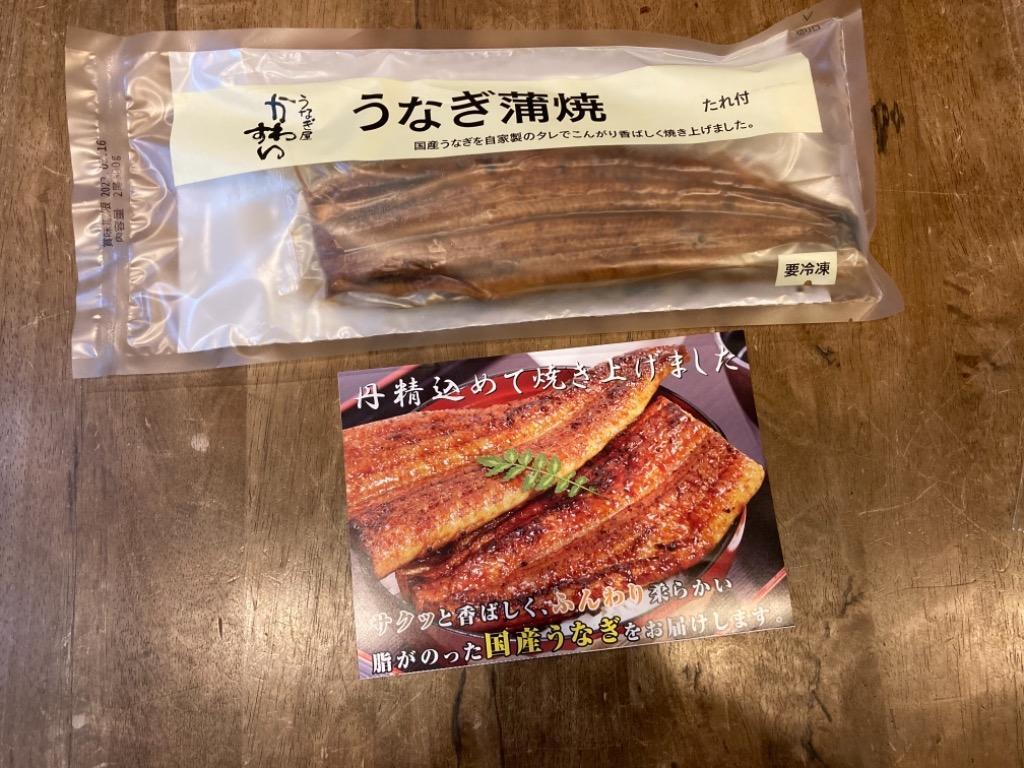 ふるさと納税 有田市 大サイズ 国産うなぎ蒲焼 2本(300g〜338g