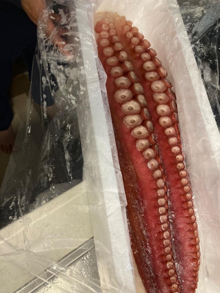 ふるさと納税 白老町 極太!ボイルタコ足(約1.8kg) :1083883:さとふる - 通販 - Yahoo!ショッピング