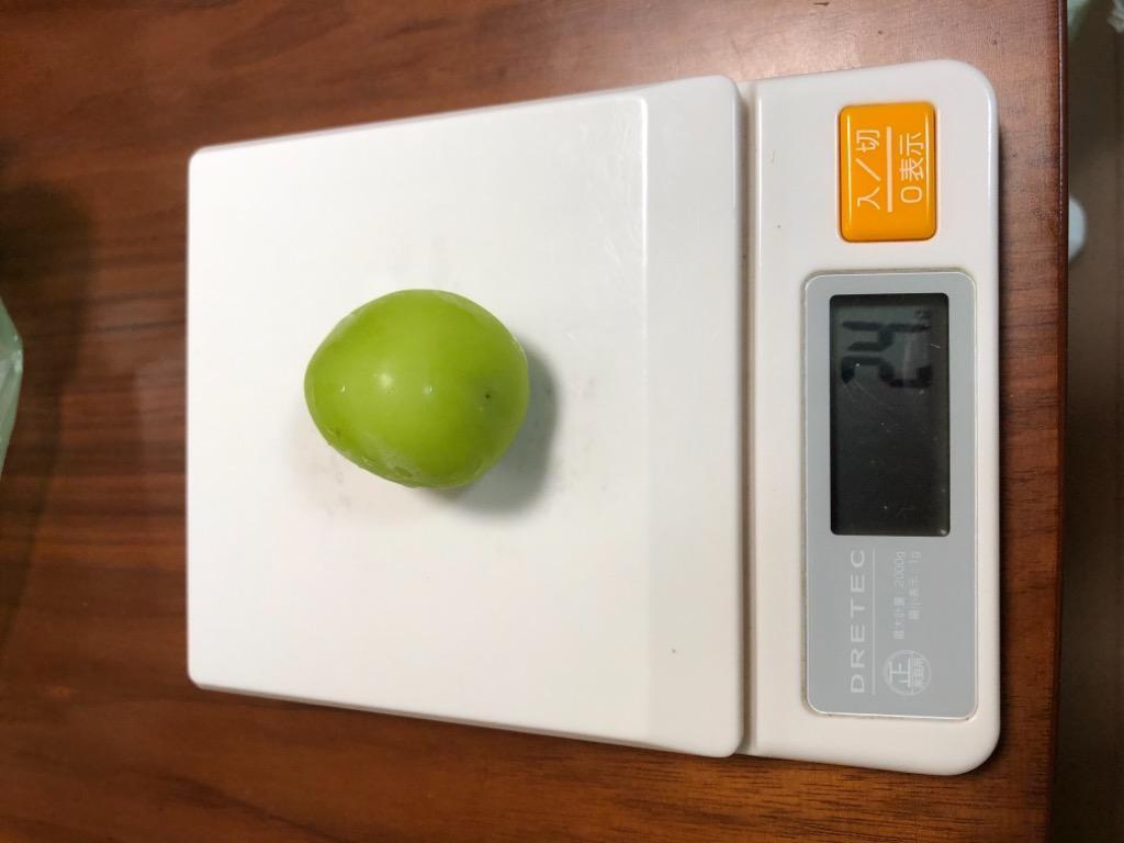 レビュー画像