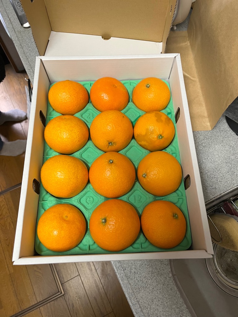 レビュー画像