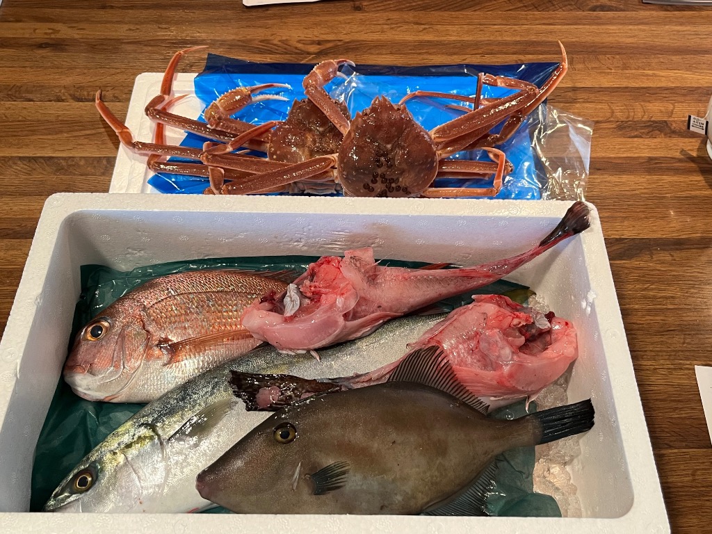 活鮑とれたて！新鮮！佐渡真更川産 活鮑とれたて！新鮮！佐渡真更川産