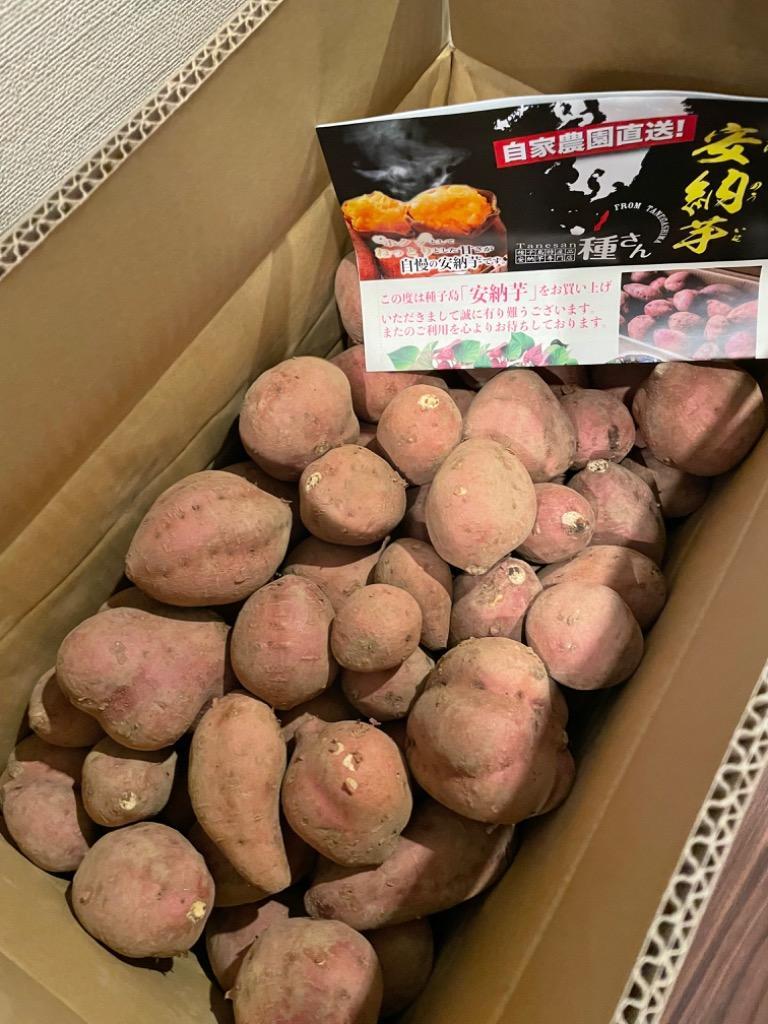 ふるさと納税 南種子町 本場種子島産 安納芋10kg :1200800:さとふる - 通販 - Yahoo!ショッピング