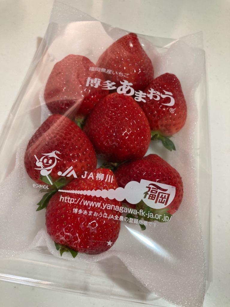 ふるさと納税 大野城市 【数量限定】福岡県産あまおう270g×4パック【R5年2月発送開始】 :1212172:さとふる - 通販 -  Yahoo!ショッピング