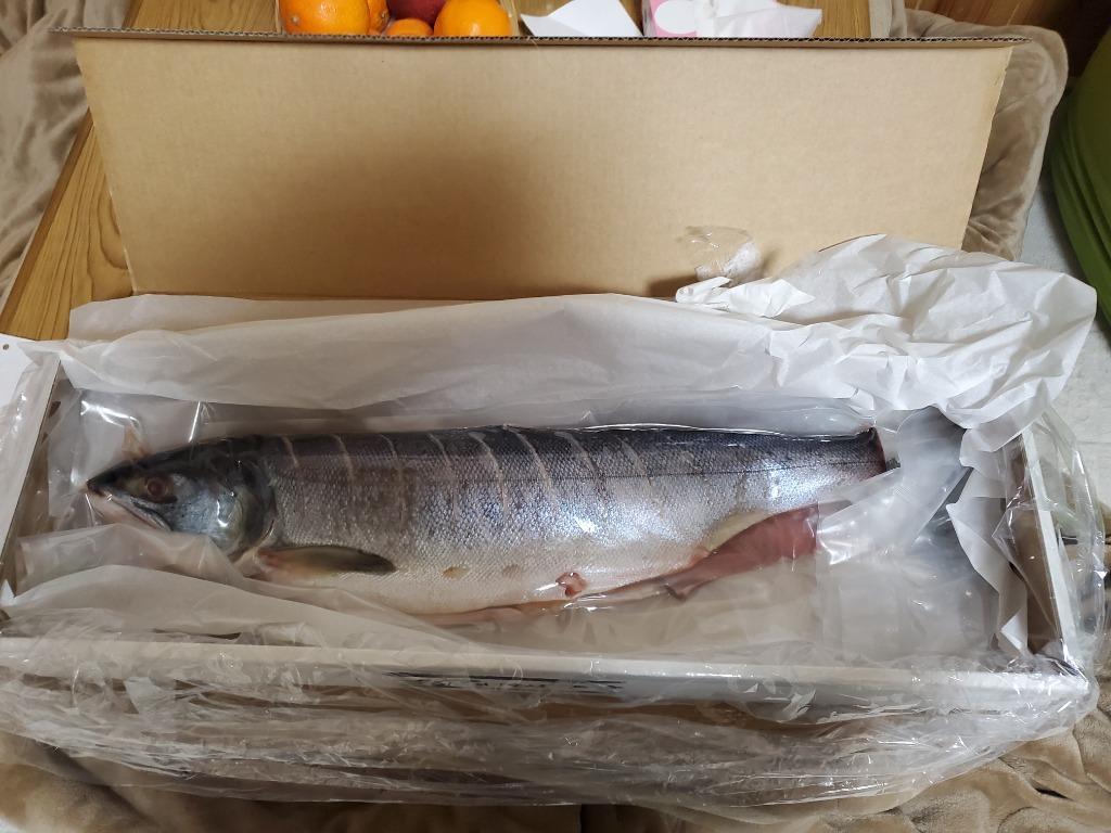 ふるさと納税 森町 北海道産新巻鮭姿造り 約2kg :1214517:さとふる - 通販 - Yahoo!ショッピング