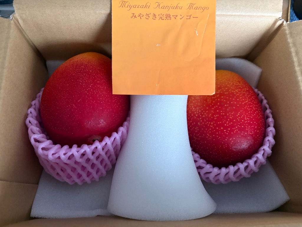 宮崎県産完熟マンゴー　２Ｋｇ【訳あり品】 ふるさと納税 宮崎市 フルーツソムリエが選んだ 宮崎完熟マンゴー2玉
