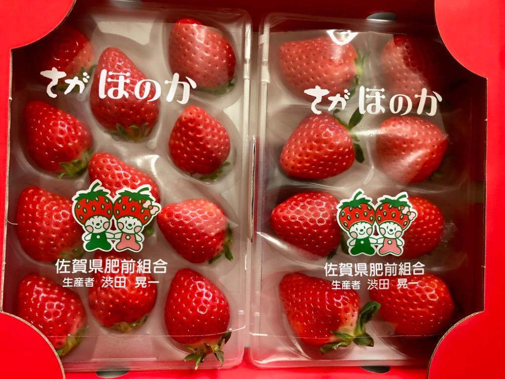 ふるさと納税 佐賀市 【2022年12月より順次発送】佐賀県産いちご さがほのか 220g×2パック :1260564:さとふる - 通販 -  Yahoo!ショッピング