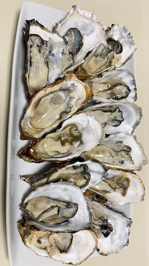 新生活 ふるさと納税 北見市 サロマ湖産殻付き2年牡蠣 中 約4.2kg 約25個〜45個