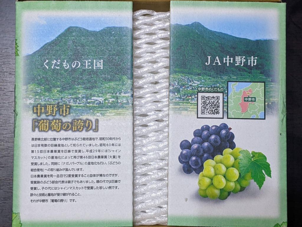 ふるさと納税 中野市 2022年9月下旬お届け!長野県 JA中野市ぶどう部会より産直!旬のシャインマスカット1kg以上 :1272436:さとふる -  通販 - Yahoo!ショッピング