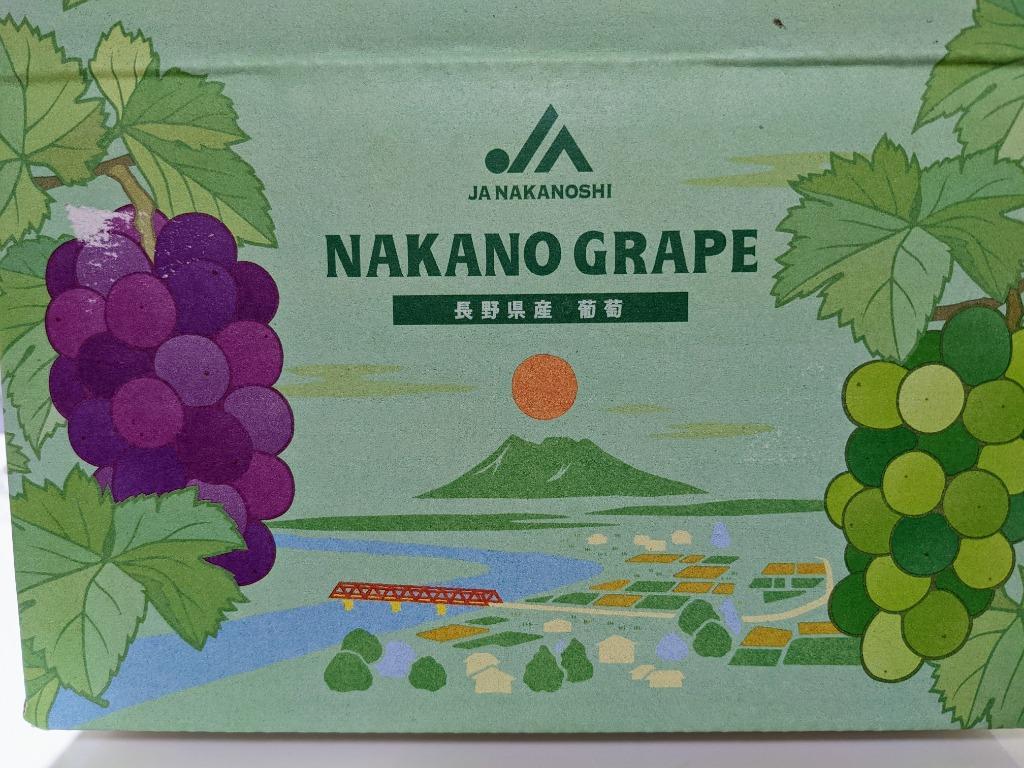 ふるさと納税 中野市 2022年10月中旬発送!長野県JA中野市ぶどう部会 旬真っ盛りのシャインマスカット1kg以上 :1272454:さとふる -  通販 - Yahoo!ショッピング