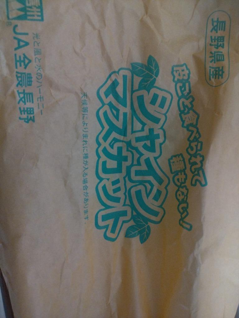 ふるさと納税 中野市 2022年10月中旬発送!長野県JA中野市ぶどう部会 旬真っ盛りのシャインマスカット1kg以上 :1272454:さとふる -  通販 - Yahoo!ショッピング