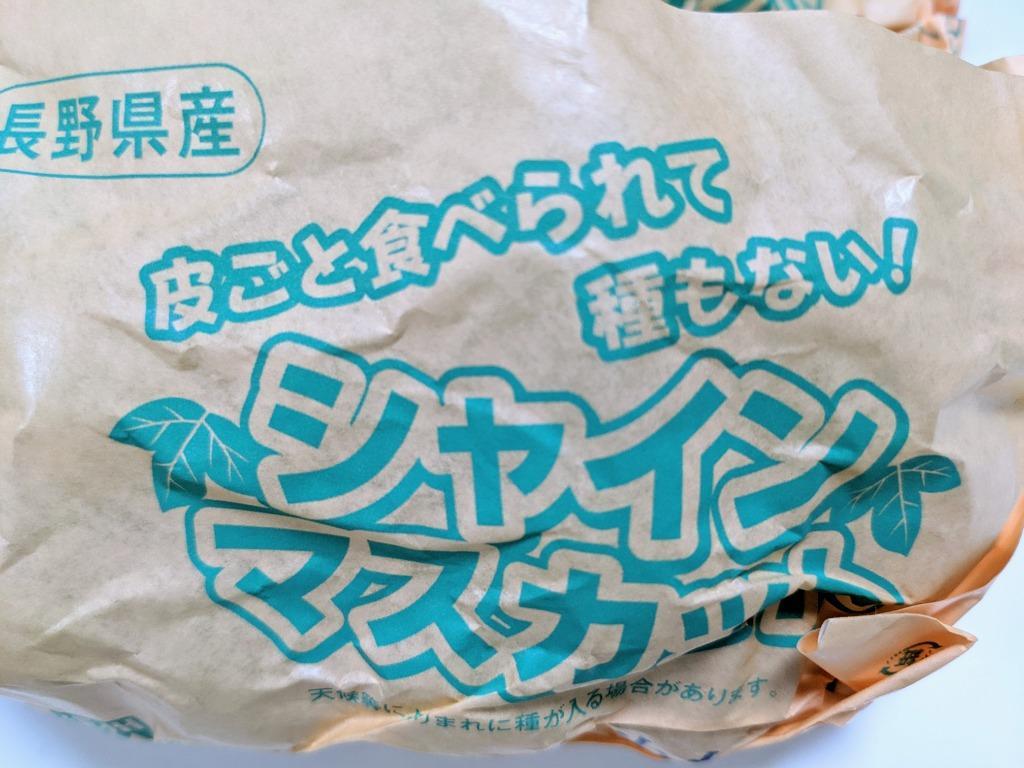 ふるさと納税 中野市 2022年10月中旬発送!長野県JA中野市ぶどう部会 旬真っ盛りのシャインマスカット1kg以上 :1272454:さとふる -  通販 - Yahoo!ショッピング