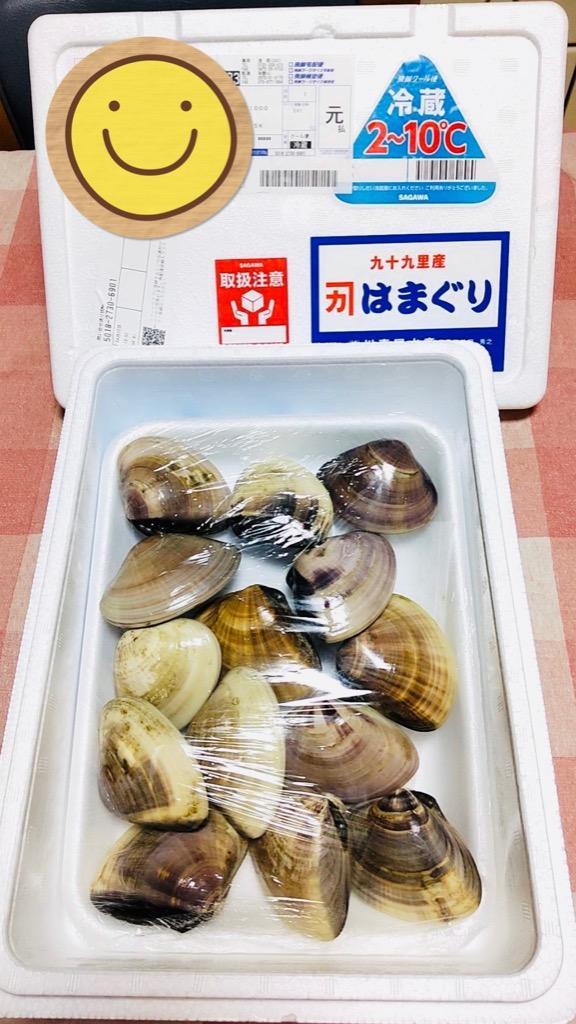 ふるさと納税 白子町 九十九里産 はまぐり 4 0kg 季節のお試し特産品付き 最上の品質な