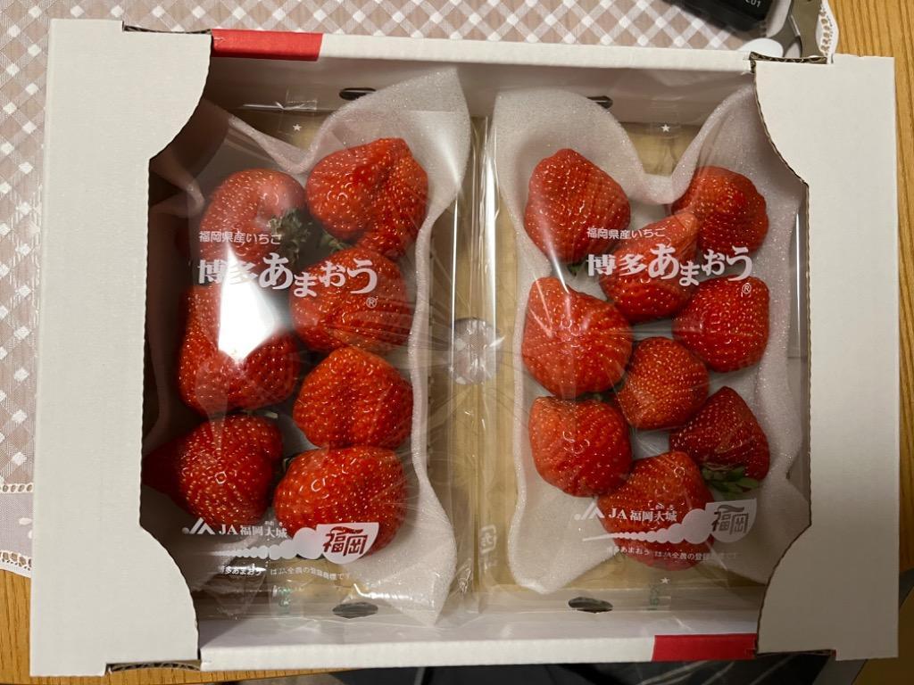 ふるさと納税 芦屋町 【数量限定】福岡県産あまおう 約270g×2パック :1279012:さとふる - 通販 - Yahoo!ショッピング