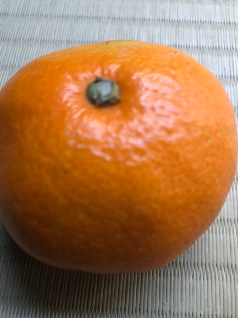 全体のレビュー画像 | 0-0