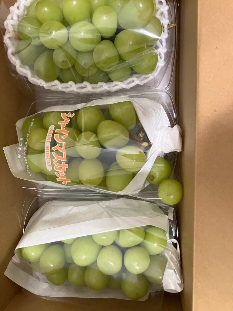 ふるさと納税 山梨市 【先行受付 2026年発送】【訳あり】シャイン