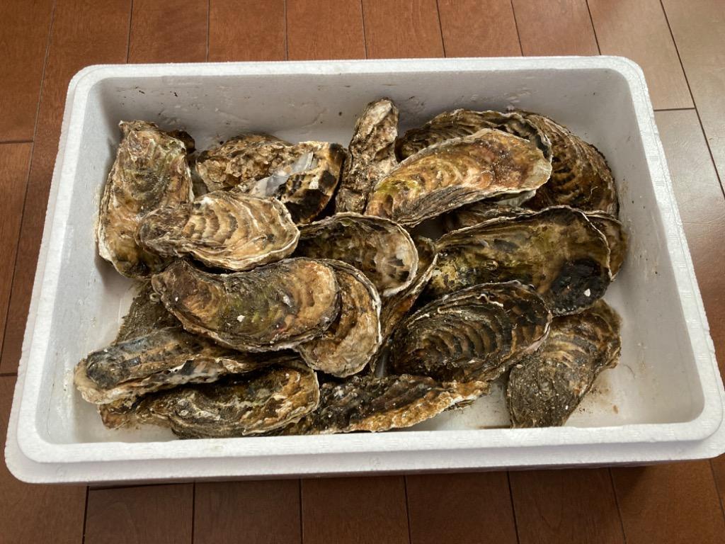 ふるさと納税 紋別市 生牡蠣 大〜特大サイズ 約2.8kg(20〜25個入) :3043663:さとふる - 通販 - Yahoo!ショッピング