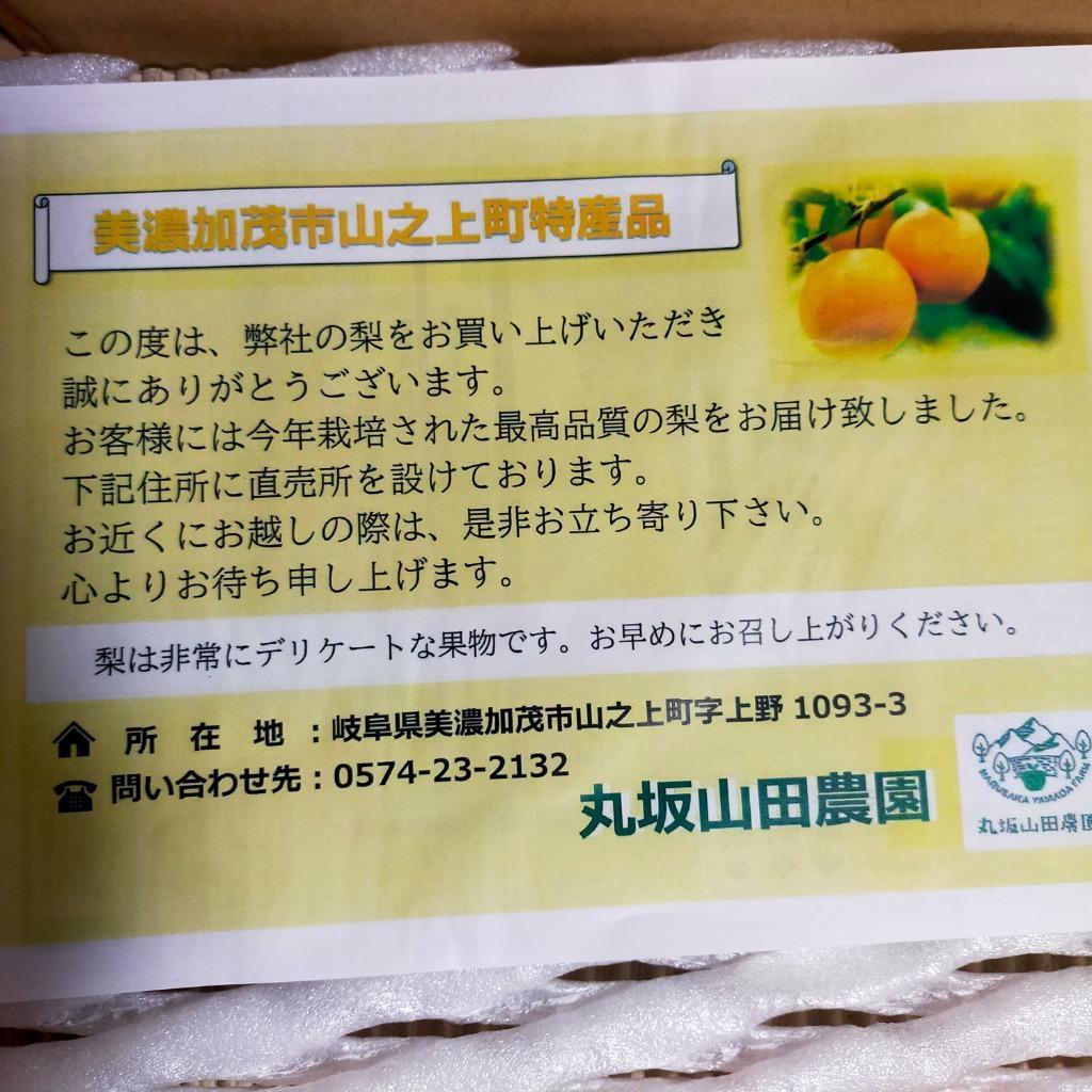 ふるさと納税 美濃加茂市 【先行受付】「丸坂山田農園」山之上梨1箱 (新高3.5kg程度)(2023年発送) :3066753:さとふる 通販  