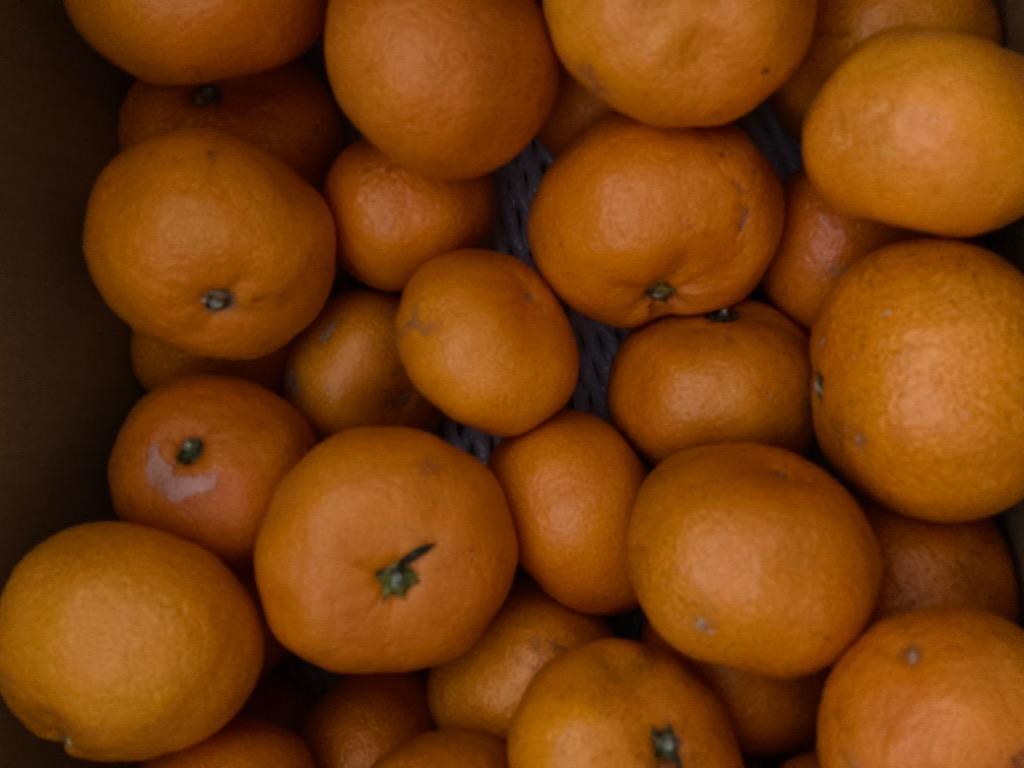 全体のレビュー画像 | 3-0